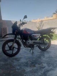 بوكسر جبلي • ٢٠١٨
