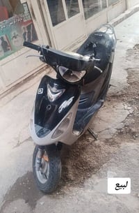 منغولي • لبيع