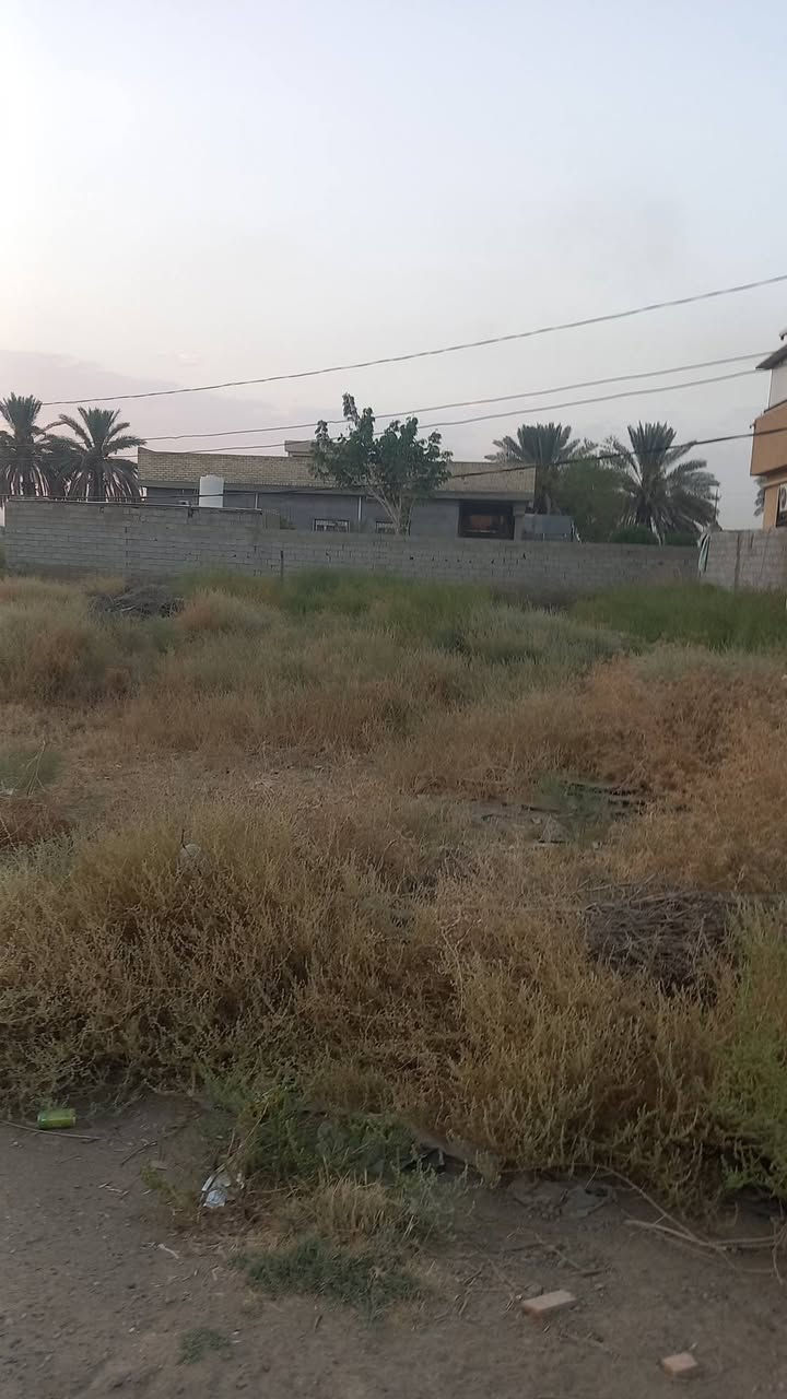 السلام عليكم قطعة أرض للبيع المساحه 400 متر طابو المحمودية سند 25 الشراي يتصل على الرقم ***********
