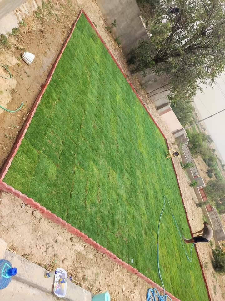 🌳 ثيل طبيعي من أجود الأنواع.. خضرة تدوم وأناقة تبهج! 🌳
مناسب للاستخدام في:
🏡 المنازل | 🌿 الحدائق | ⚽ الملاعب | 🏢 الدوائر | 🏗️ المشاريع الاستثمارية

🟢 أنواع متوفرة لدينا:
فرنسي – إيطالي – أمريكي – هندي – إسباني – إنكليزي
💚 نوعيات ممتازة بأسعار مناسبة جداً
📦 وقابل للتفاوض للكميات الكبيرة

✅ تجهيز كميات كبيرة للمشاتل والملاعب
✅ كادر متخصص بالزراعة والتركيب السليم
✅ نوصل لك لباب البيت، بأسرع وقت!

📞 للحجز أو الاستفسار تواصل معنا الآن

***********
#ثيل_طبيعي #خضرة_دائمة #زراعة_ثيل #ملاعب #مشاتل #أسعار_تنافسية
