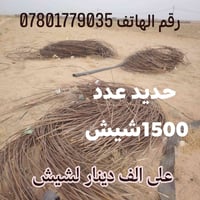 كربلاء • حديد • صوندات ستندر