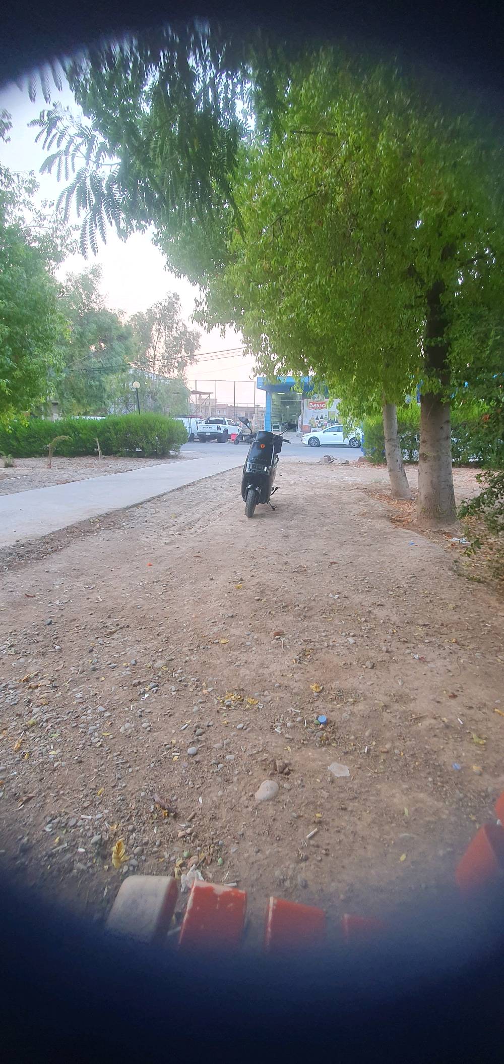 ياديا٢٣