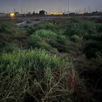 بوب السام شارع المدارس • ١٠٠م • ٢٠×٥