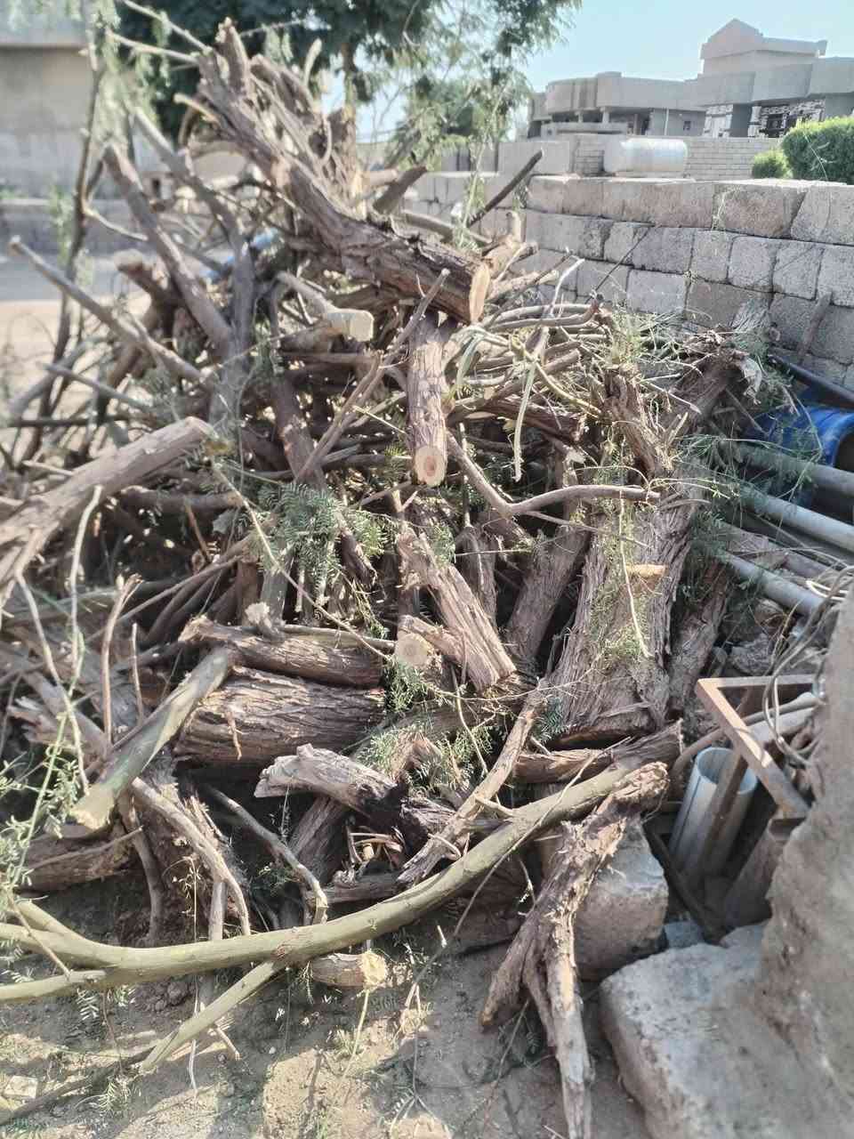 حطب • شوي • ستوتة