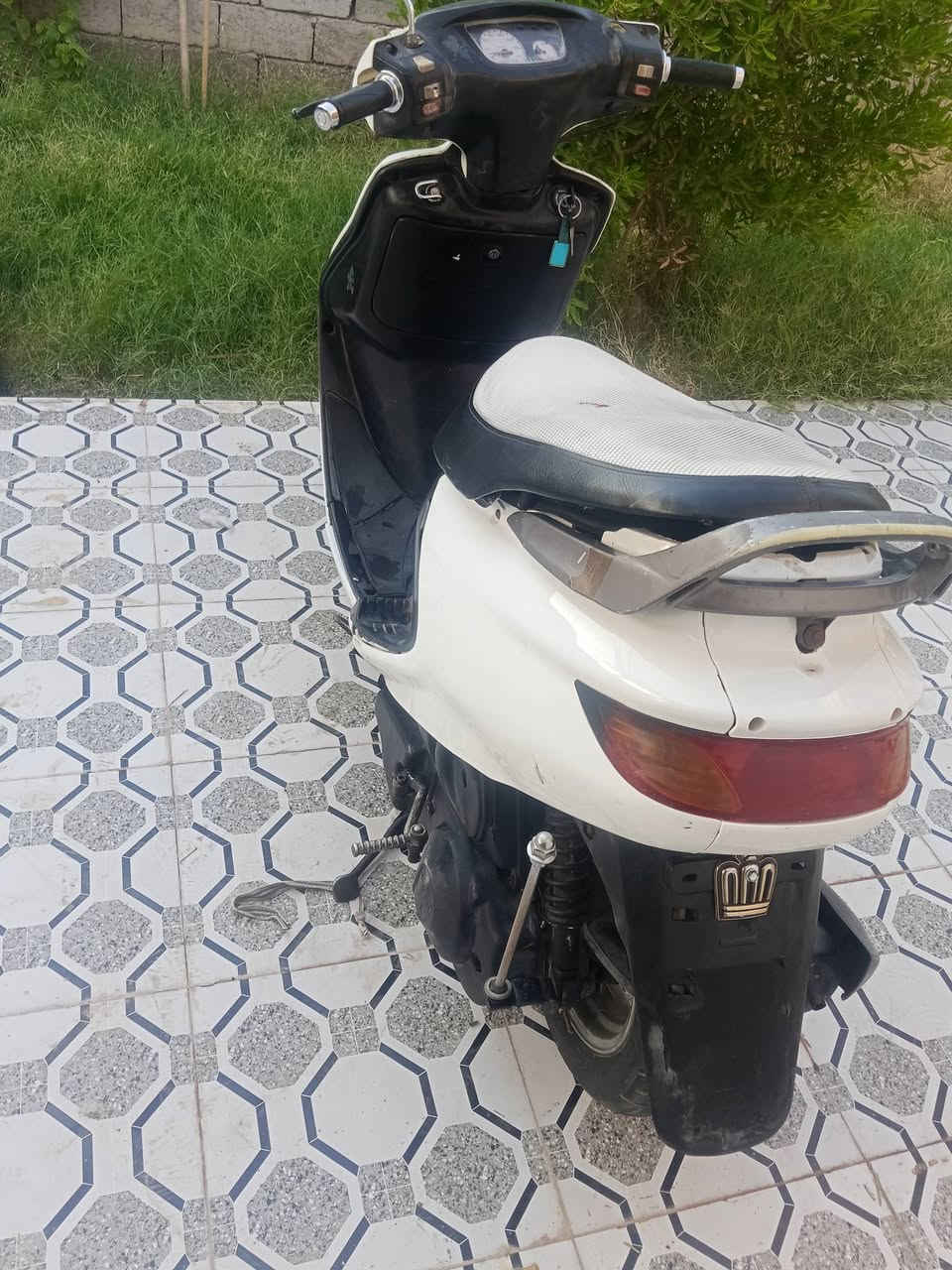فراشة للبيع مكانها الديوانية ***********
