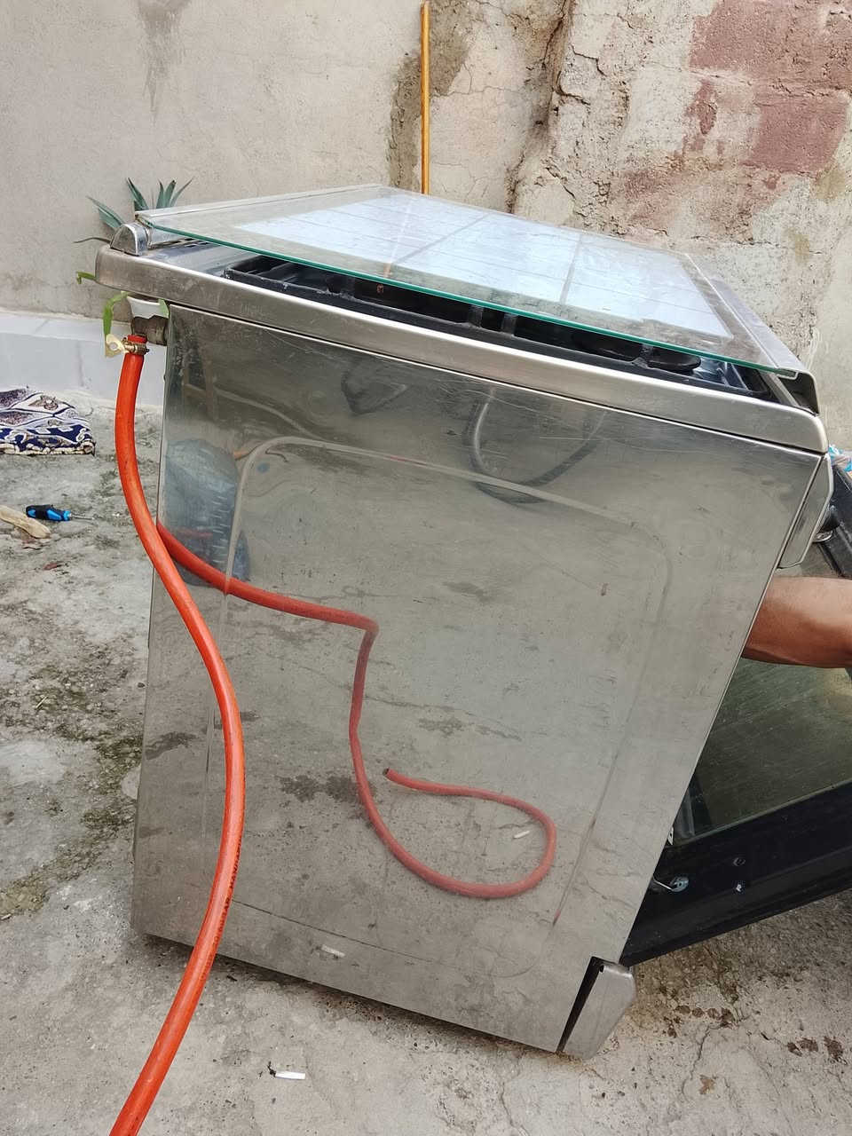 طباخ • شغال • فريش
