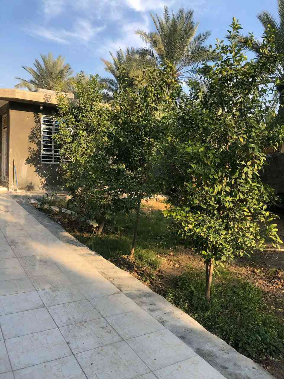 وردية خارج • مزرعة مع بيت • ٨٢٤م
