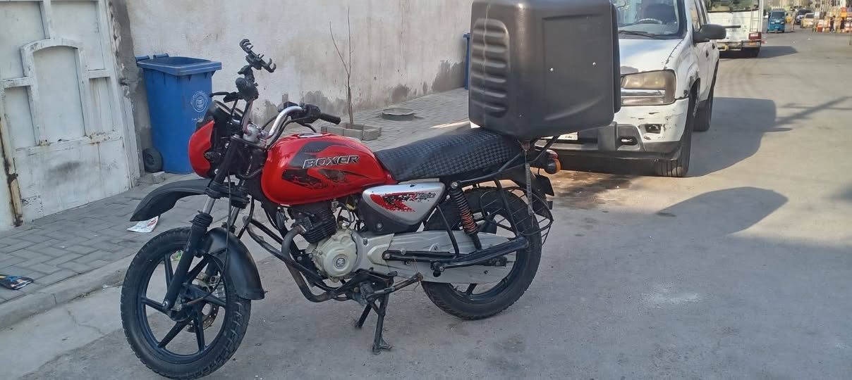 بوكسر • ٢٠٢٠ • جبلي