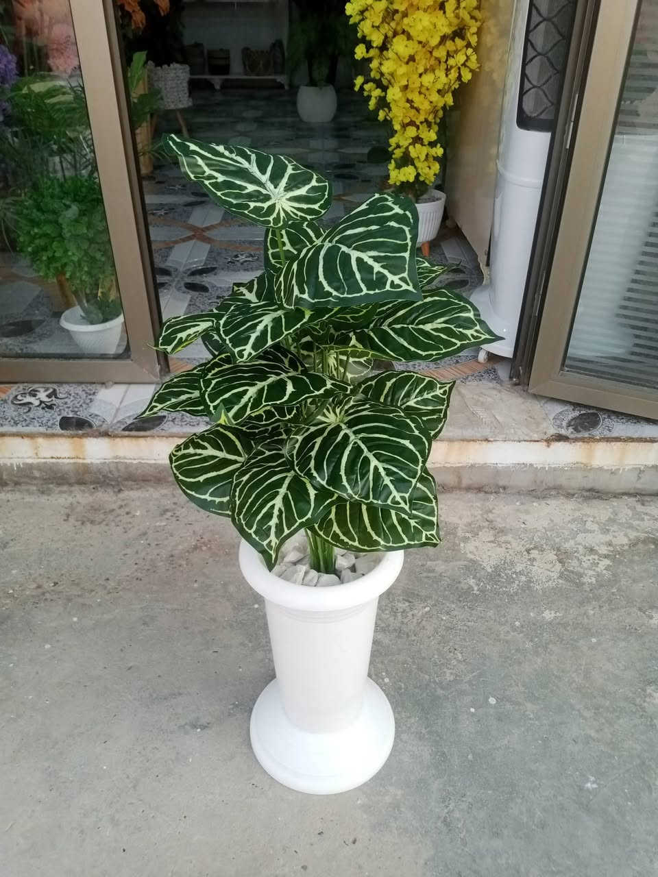 نباتات اصطناعية
نبات المطاط  18 ورقة تركيب الأوراق زيتية 🌱 🌱 وبدرجات ألوان متنوعة تناسب ذوقك وديكور بيتك أو مكتبك.
توصلكم كامله سندان قاعدة ديكور حجر طبيعي للتزيين حتى تنطيكم المظهر الطبيعي المكتمل بدون أي تعب أو عناية.
 مثالية للمكاتب، طاولات القهوة، الرفوف، أو كهدية لطيفة لأحبابكم.
نوصلها لباب بيتك وين ما تكون 🚚 🚚
#سعفة 🌿
للحجز دايركت او واتس*********** 
 توصيل متوفر لجميع المحافظات
