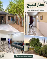 حي الجهاد الالفين • ١٥٠م • تشجير