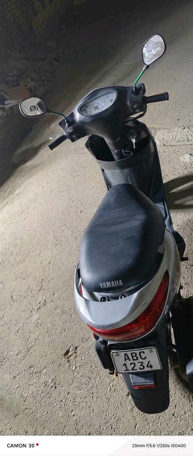 بريز بغبغاء • موديل جديد • علفحص
