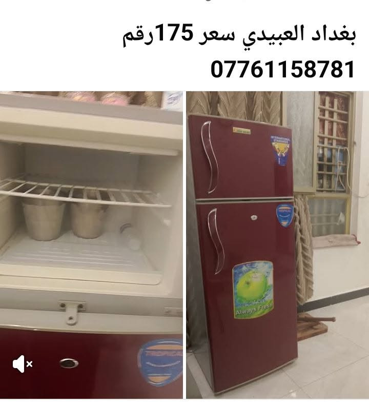 بغداد العبيدي • ثلاجة