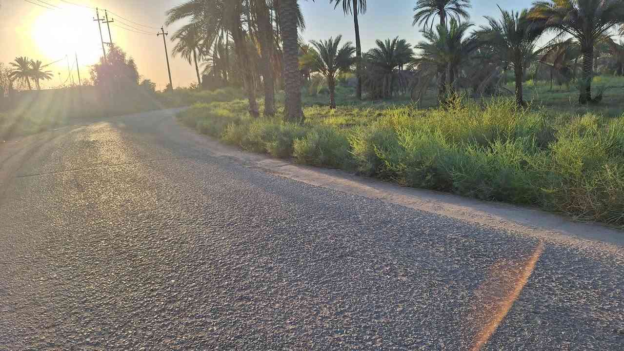 متوفر ارض ١٠ دوانم الواجهيه ٥٠ الموقع طوريج شط الله 
متوفر بيها ٥٠ نخله و٢٠ شجره 
متوفر ماء وكذلك كهرباء 
وكذلك طريقها تبليط
الارض مزروعه وخير من الله السعر .***********  واتساب
