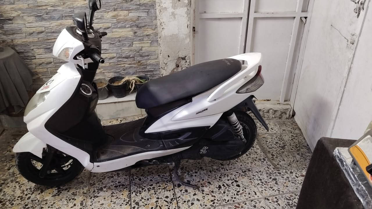 السلام عليكم دراجه سكنس مال رامبه الدراجه اوراق اصوليه ومكينه بلاديه مامفتوحه برغي مامفتوح بل دراجه مكفوله كفاله عامه من التاير للتاير شلعه ومعدل كهربائيات كله شغاله مابيه شي تعبان كله وكاله وبلادي مكاني بغداد حي الجهاد السعر ٨٠٠ وبيه مجال متوازي عليه هاذ رقمي ***********
