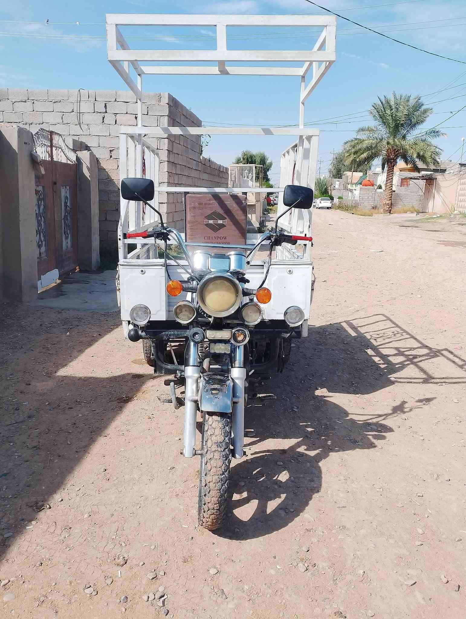 ستوته • جاهزة • مكفولة