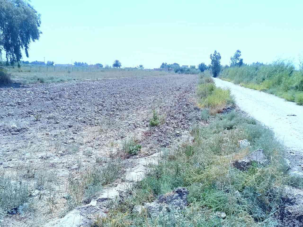 ربيع سلام عليكم أرض للبيع منطقية اليوسفيه مع كافة الخدمات ماء كهرباء سحب ذهبي اساله مدرسه مستوصف ***********
