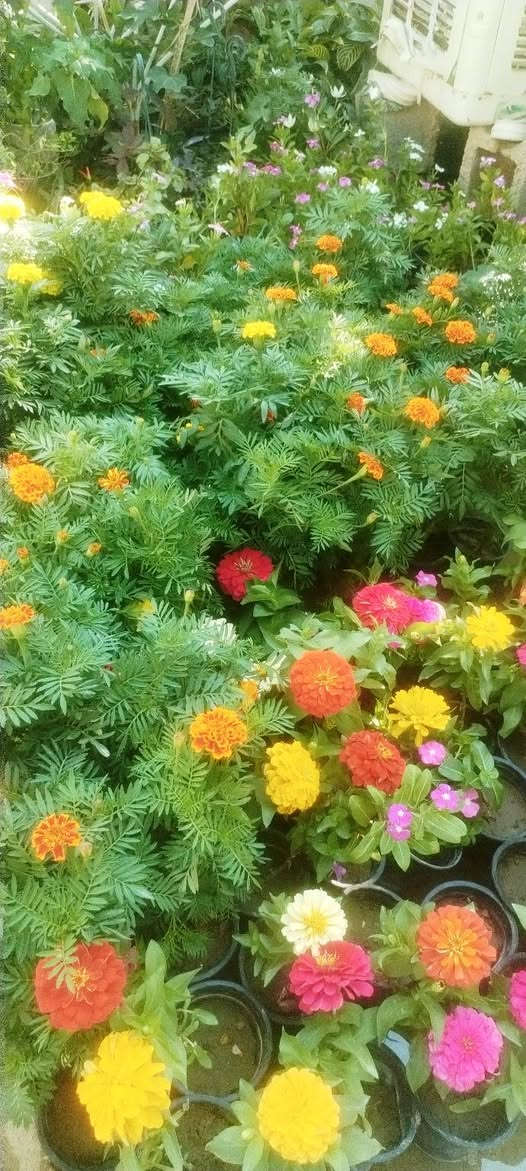 وهاي وجبتنا الجديدة❤️🌷🌹 
  بالصور والأسعار راح انشرها الكم حتة لتعبون🌺💓💮 
 فقط اللي عليكم تراسلونا وتحجزون🌻🌻 
او تزورونا بموقعنا💐🌹🌺 
خانقين بختياري الثانيا نهاية شارع العصائب واسواق صالح🌹💐🌹💐
 حمود وعدنا توصيل🚕🚕🚕🚕
داخل خانقين وجلولاء والسعدية راسلونا وتدللون ❤️💓❤️💓
