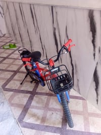 باسكل • حجم ٢٠ • سعر خاص