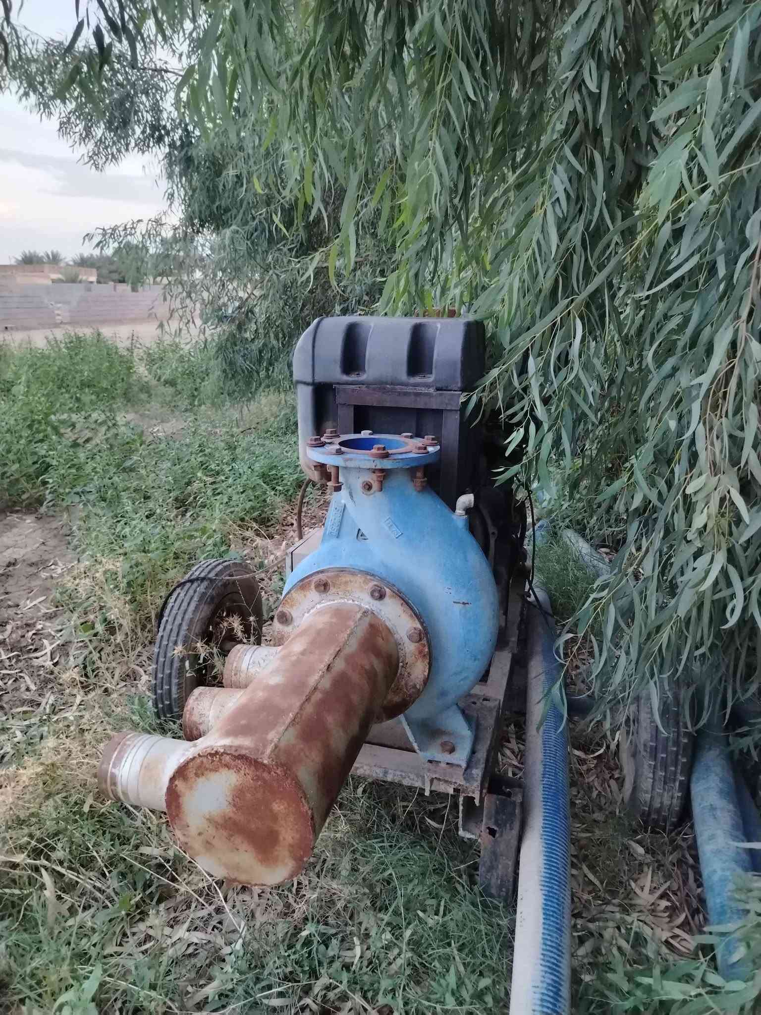 بيركس للبيع*********** السلام عليكم صيني اربع سلندر خنزيره ثمانيه بسته ثمانيه عنوان ديالى

