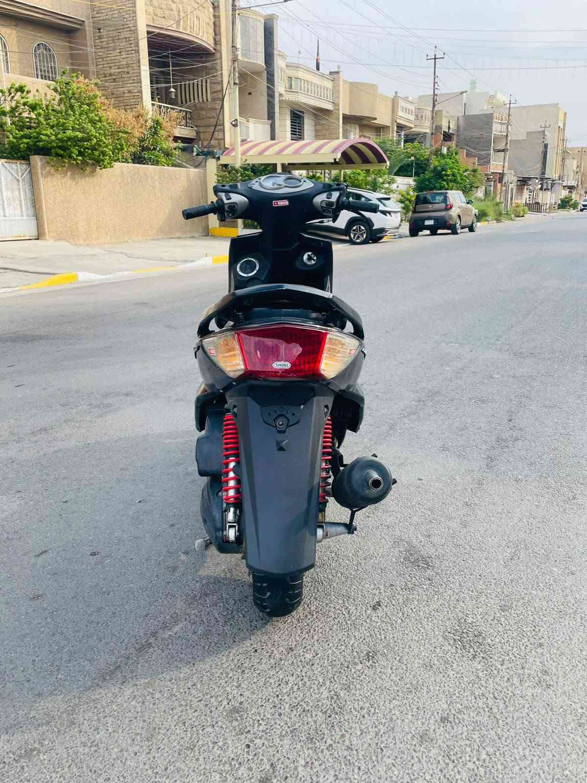 سكنس فحل • نضيفه • اوراق كامله