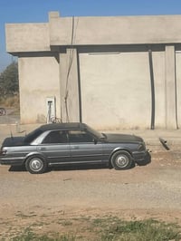 هارتوب طويله • مصبوغة يسار • مستندات