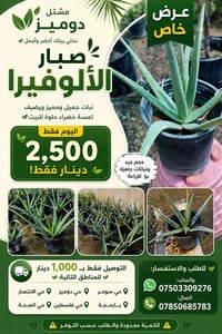 صبار الألوفيرا • توصيل • مشتل دوميز