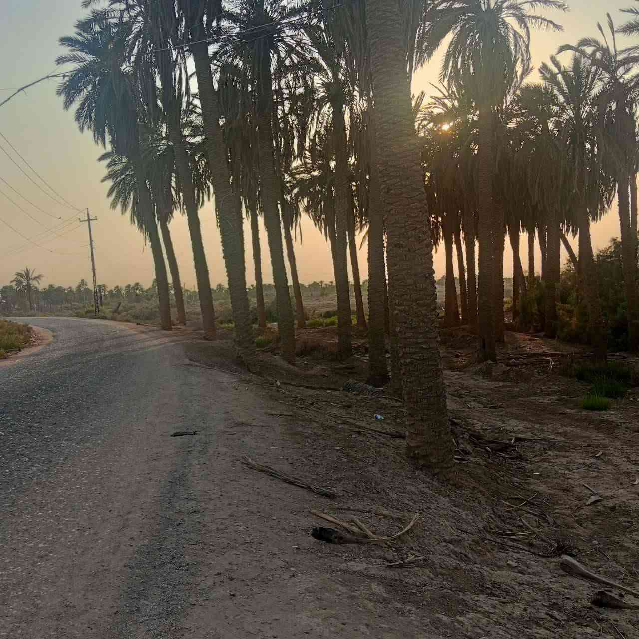 ارض زراعيه • ٢١٥٠م • شط الكسر