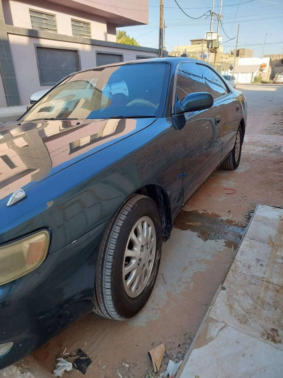 شيزر • ١٩٩٥ • رقم بغداد
