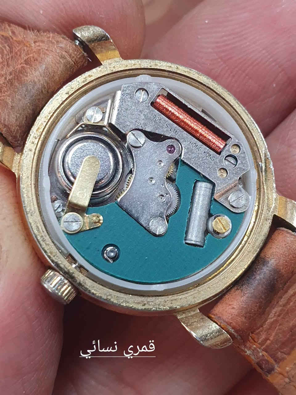 قمري نسائي • سويسري • قطر ٢٦