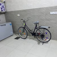 بيسكل بناتي • حاويه • حجم ٢٦