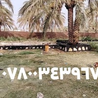 ابو زينب • بناء وتصميم • دقة وفن