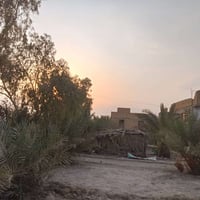أرض زراعي • ٦٠٠م • الناصرية مدينة الصدر