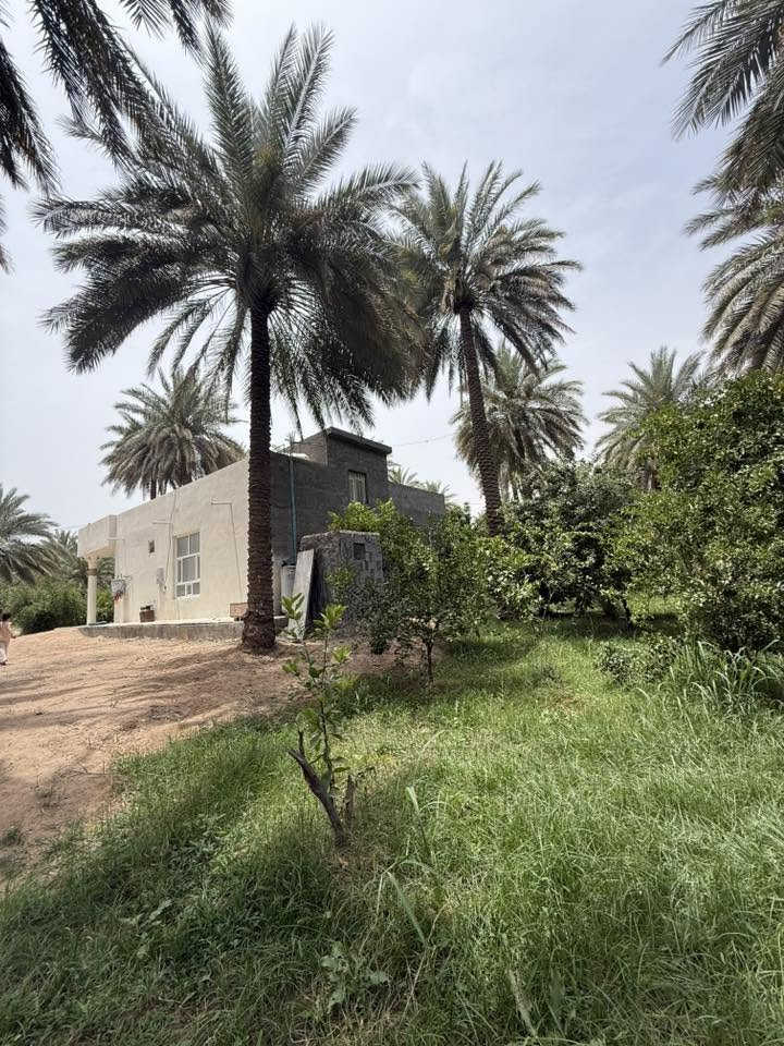 ‏ للبيع أكثر المعلومات الاتصال على الرقم ‭***********‬
