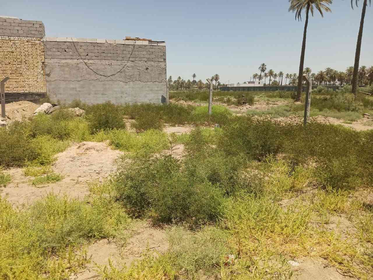 *********** السلام عليكم قطعه 300 متر للبيع العنوان طويريج كربلاء على على طريق الجوال قرار المحكمه سنه 25 قرب دهينه ابو علي الشهيره فرع الماء العارض كافه خدمات ماي وكهرباء مولده
