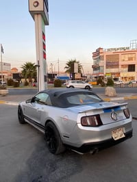 موستنك بريموم كشف • ٢٠١٢ • كركوك