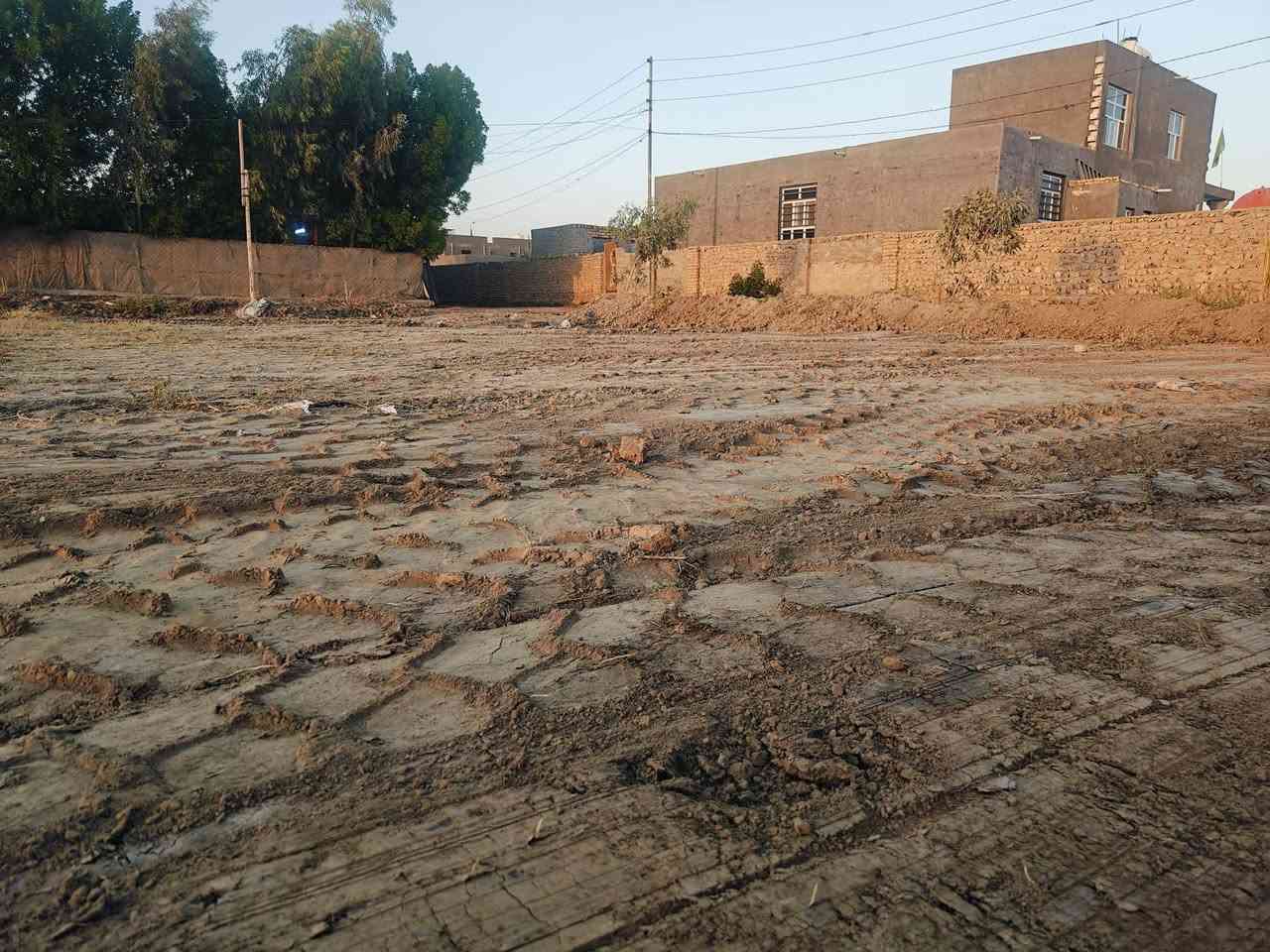 قضاء السدير • طابو زراعي • سند ٢٥
