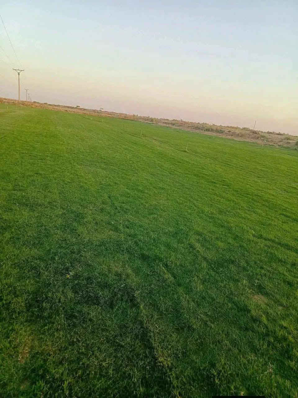 مزارع  الشمال للثيل الطبيعي 🍀
 متوفر كافة انواع الثيل 🍀
( امريكي - الهندي - الايطالي - الفرنسي )
لتجهيز... مشاتل🌴
والدوائر حكوميه🏦
منازل🏡 
منتزهات🏄
موجود خدمة توصيل 🚕
لكل محافظات العراق 🚕
للطلب يرجى التواصل مع الصفحة او مراسلة واتساب او الاتصال ع***********واتساب ***********
