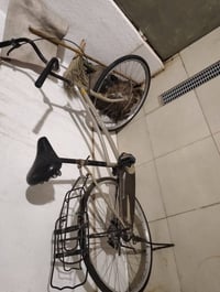بايسكل • مرتب • ناصرية تقاطع رايه