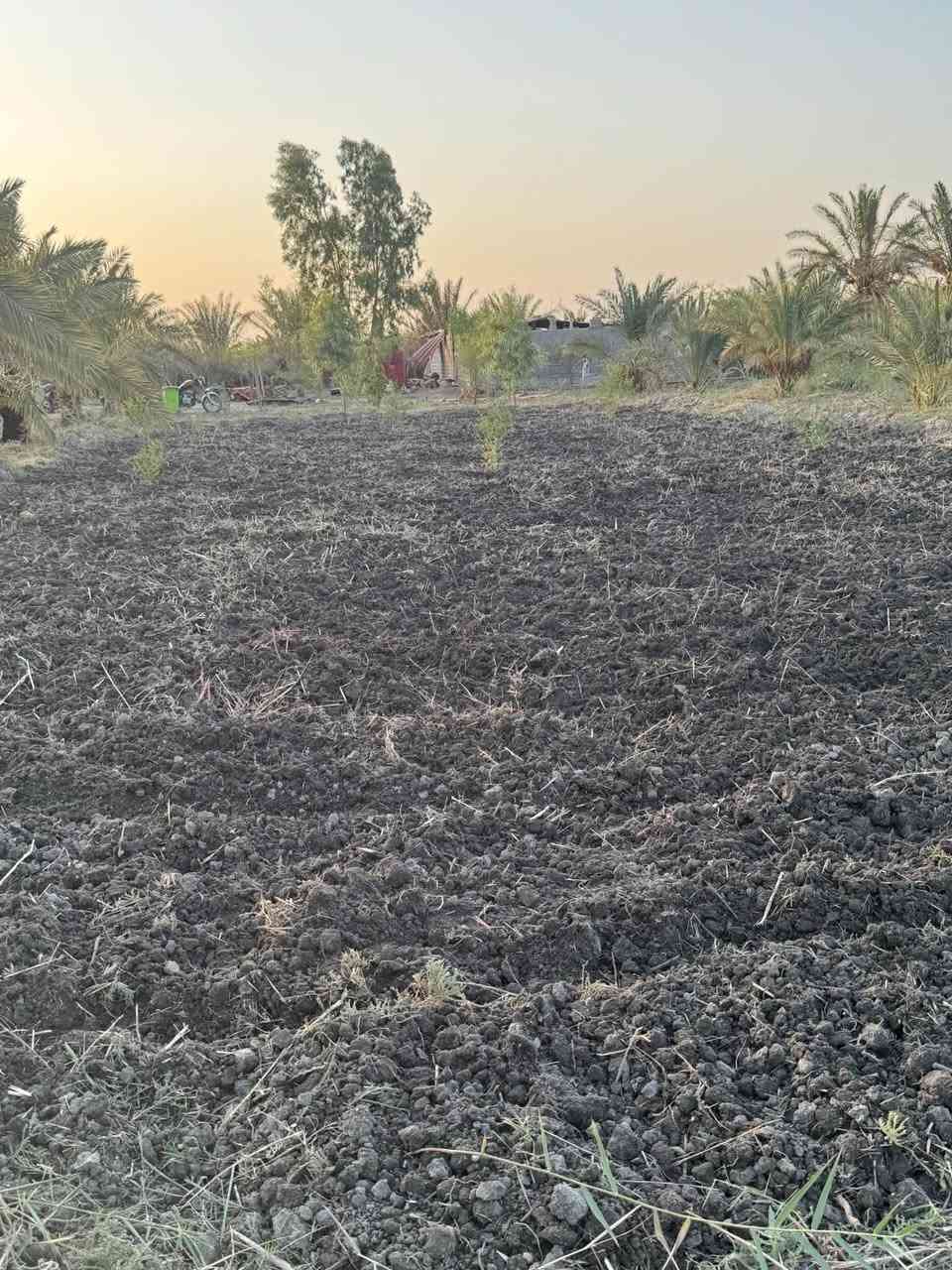 لا توجد تفاصيل
