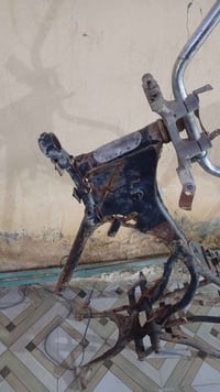 جونده • شاصي • ٢٠١٠