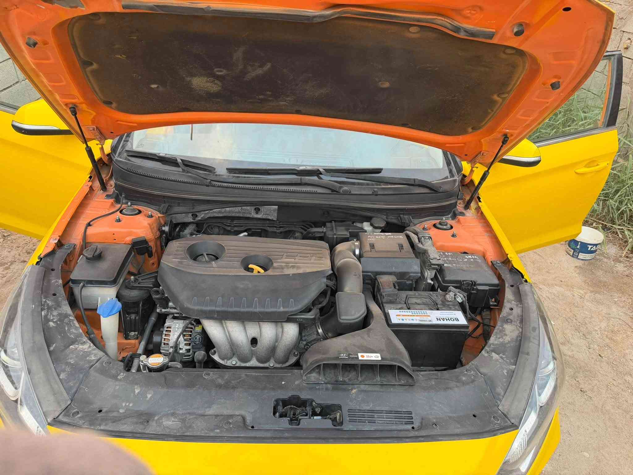 سوناته • ٢٠٢٣ • وارد كوري