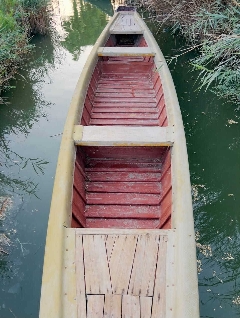 بلم • نضيف كلش • زاه