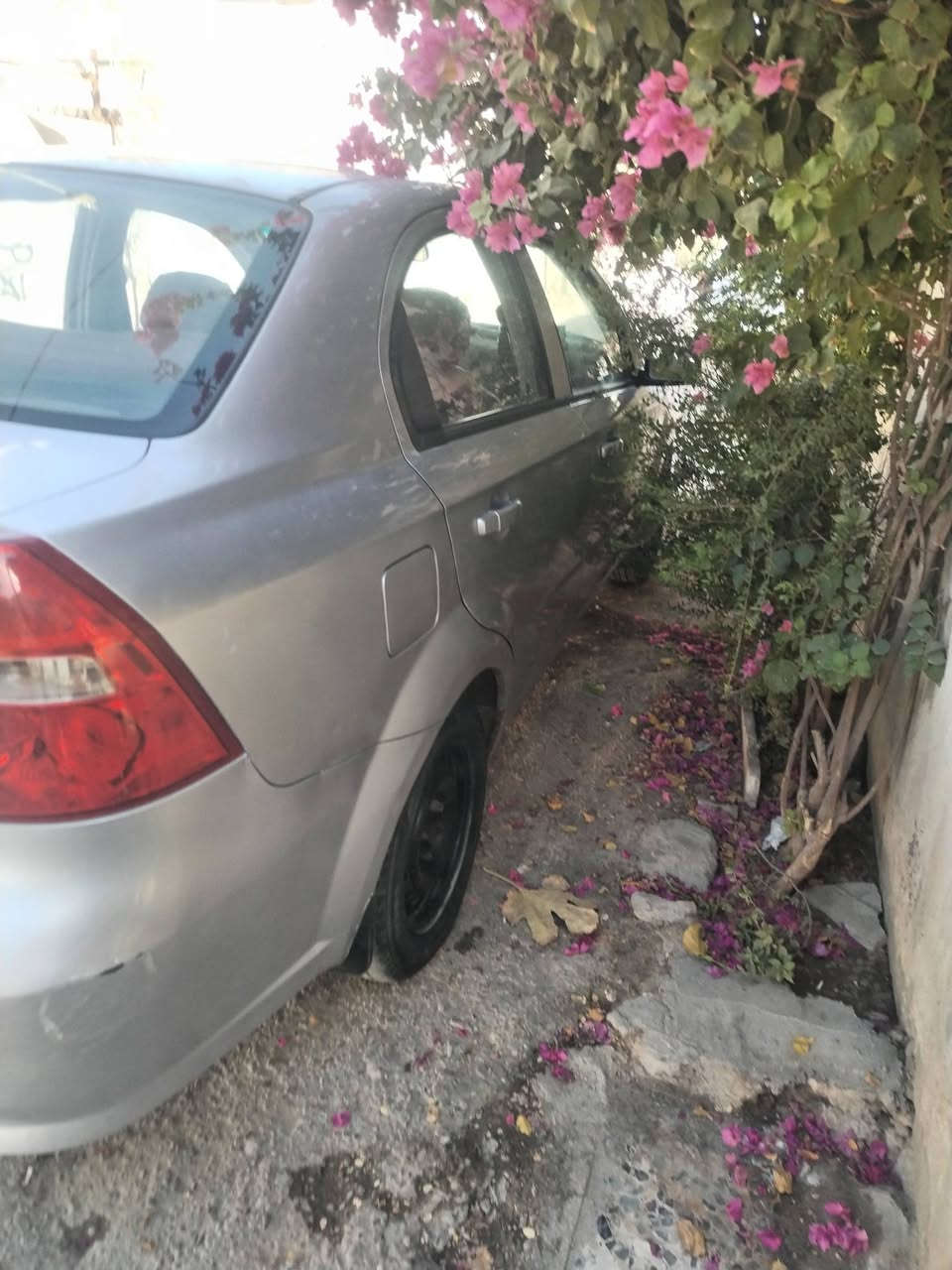 افيو • ٢٠٠٧ • رقم بابل
