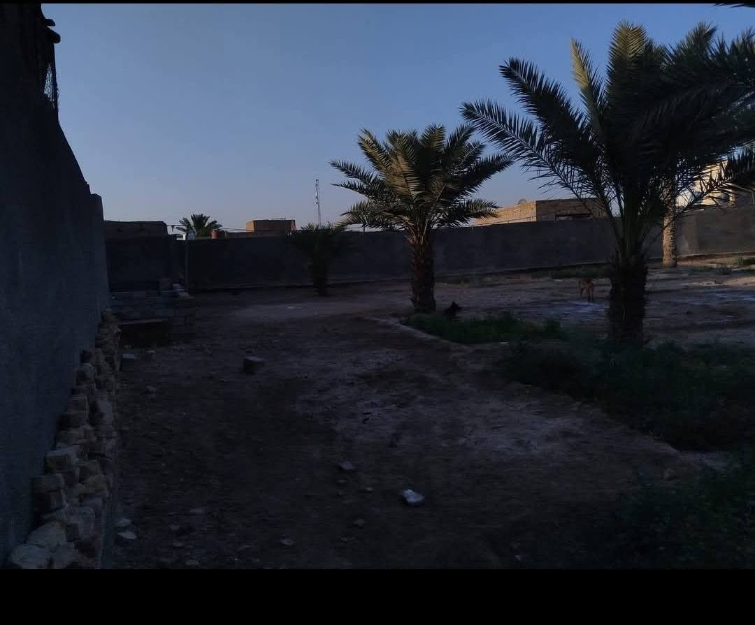 الديوانية المركز • ١٣٥٠م • سند ٢٥