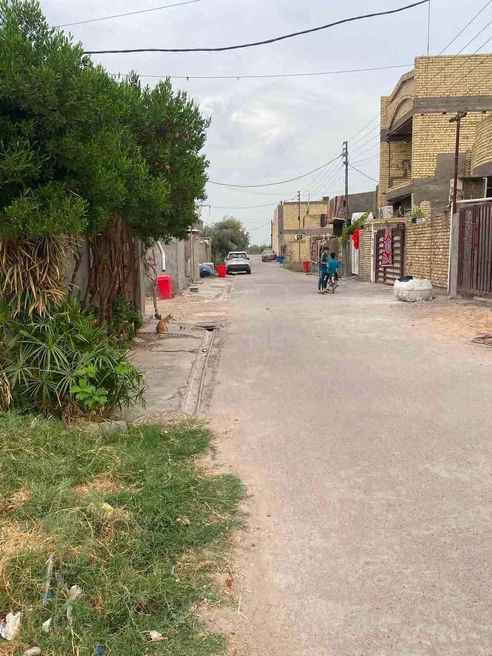 كاع • ٣٠٠م • واجهة ١٠م