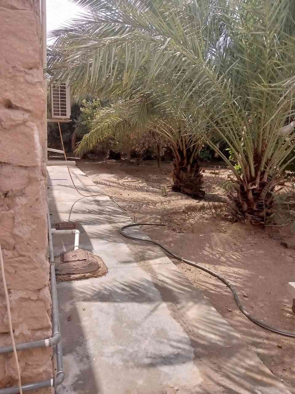 دار سكن للبيع.
في ناحية بروانة(قرب محطة وقود بروانة 
قرب مدرسة ساطع الحصري. 
طابو زراعي. 
مساحة الدار 1600م. 
يحتوي الدار على ما يلي. 
الطابق الاول: 
كليدور. 
ديوان. 
هول. 
غرفتين نوم. 
صحيات داخلية معزولة. 
مطبخ حار بارد. 
صحيات خارجية واسعة. 
ارتفاع سياج الدار 2/5
الطابق الثاني: 
3غرف نوم. 
ملاحظة.
يوجد فيه بئر ماء. 
اشجار مثمرة 7 زيتون. 
17نخلة مثمرة. 
برتقال مثمر. 
وليمون مثمر. 
السعر خاص رقم ***********
يبعد عن محطة وقود بروانة تقريبا 700م
ومدرسة ساطع الحصري للبنين 300م
