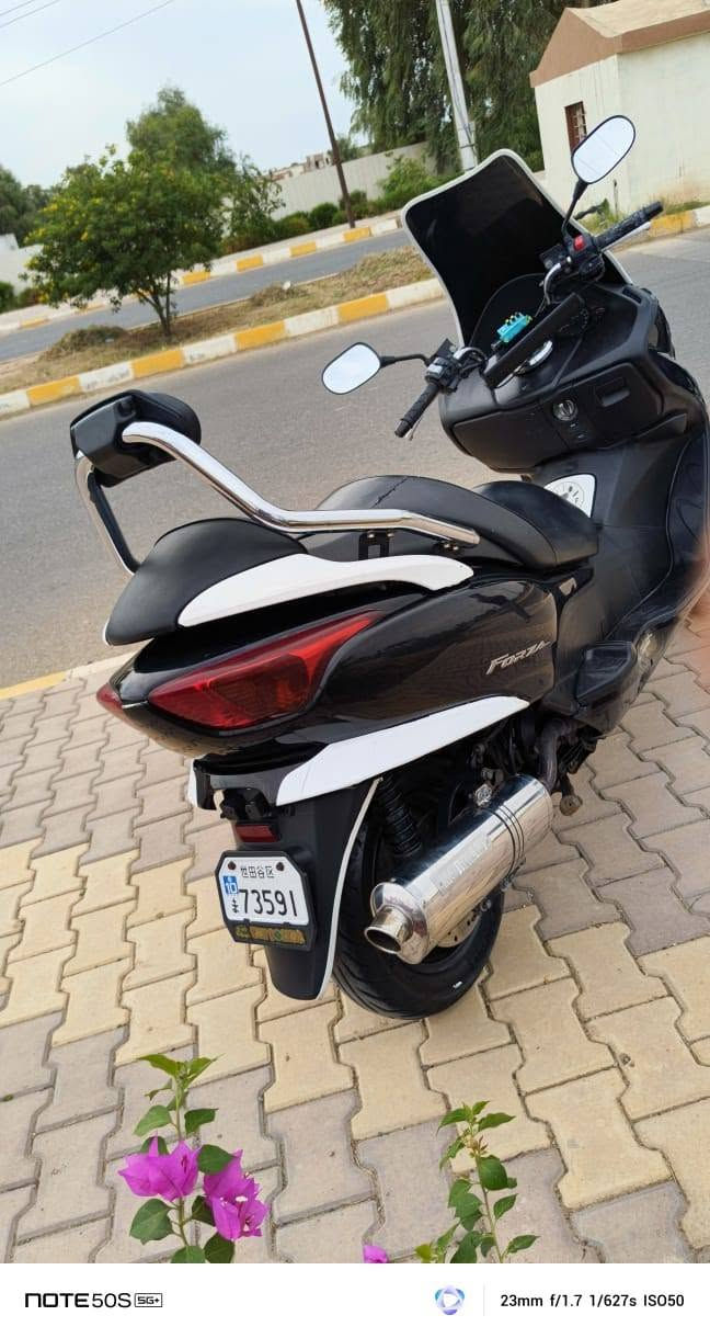 فورزة • فيديو • ديالى السعديه