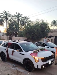سورنتو VIP • ٢٠٢٤ • حادث