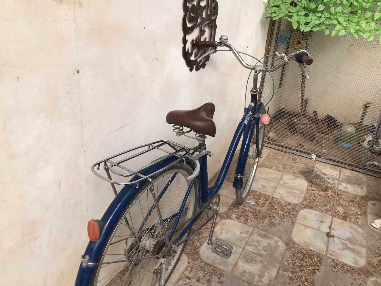 بسكليت • قياس ٢٦ • خاص