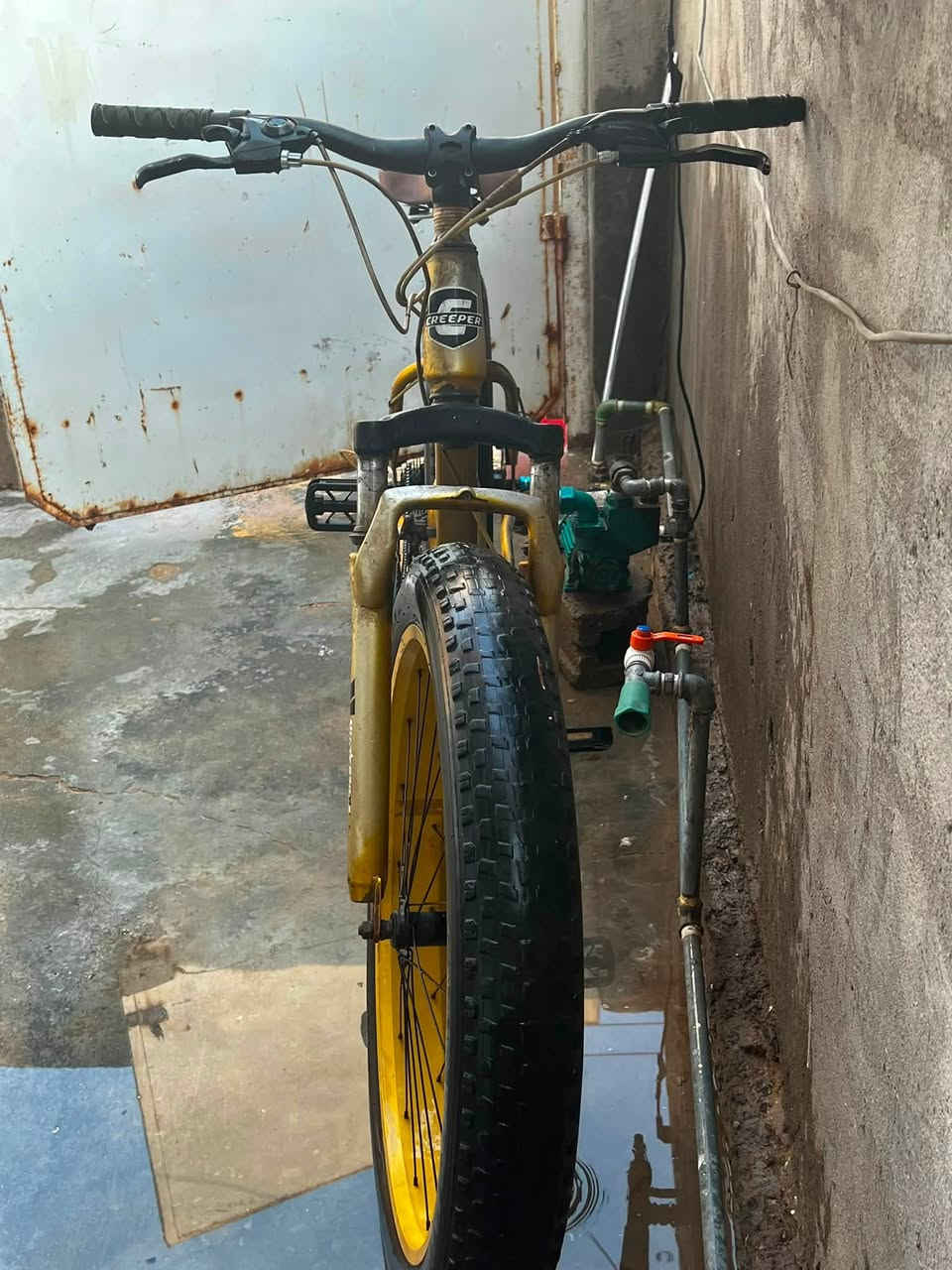 � دراجة هوائية للبيع 🔥
قياس:26
* لون ذهبي/أصفر
* تايرات عريضة وجديدة/نظيفة
* فرامل ديسك أمامي وخلفي
* تبديلات سرعات
* الشاصي قوي ومتحمل
* الدراجة نظيفة وجاهزة للاستخدام
    💰 السعر: [90وبي مجال 
    📍 المكان: الرمادي
    📩 للجادين مراسلة خاص
الي يريد يعرف عنه اكثر يراسل خاص  الرقم:
(7839094212)
